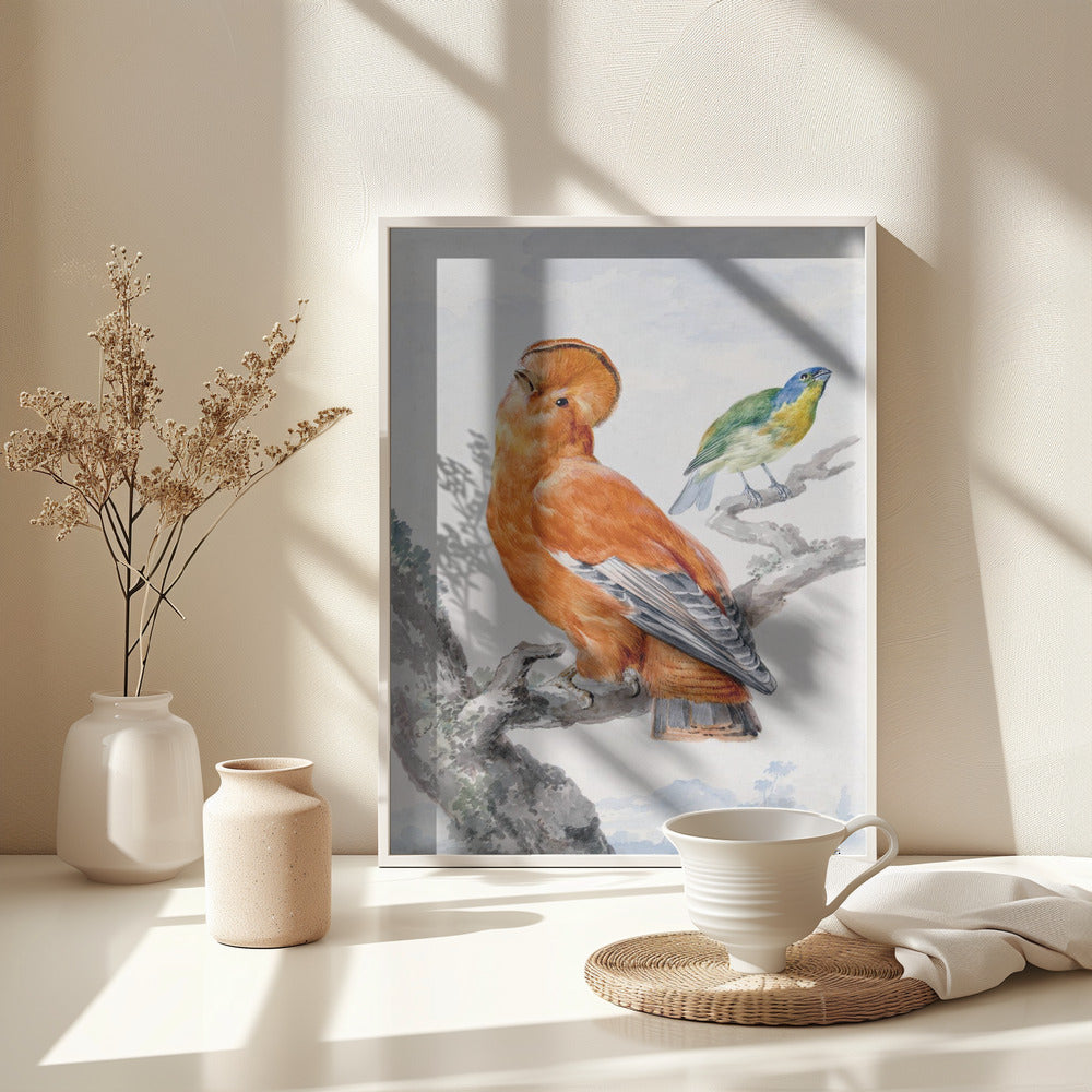 Two Exotic Birds - Poster / Art Print - interiör