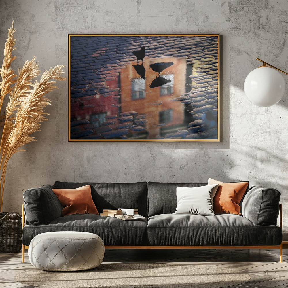 Pigeons - Poster / Art Print - interiör