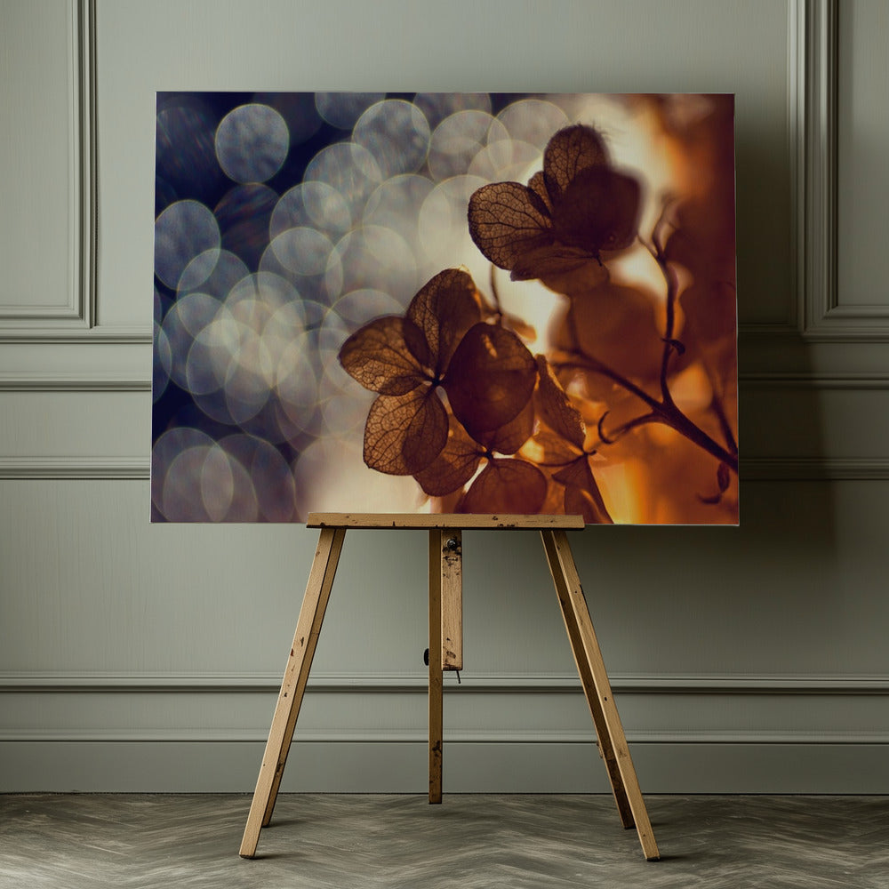 A beautiful light - Poster / Art Print - interiör