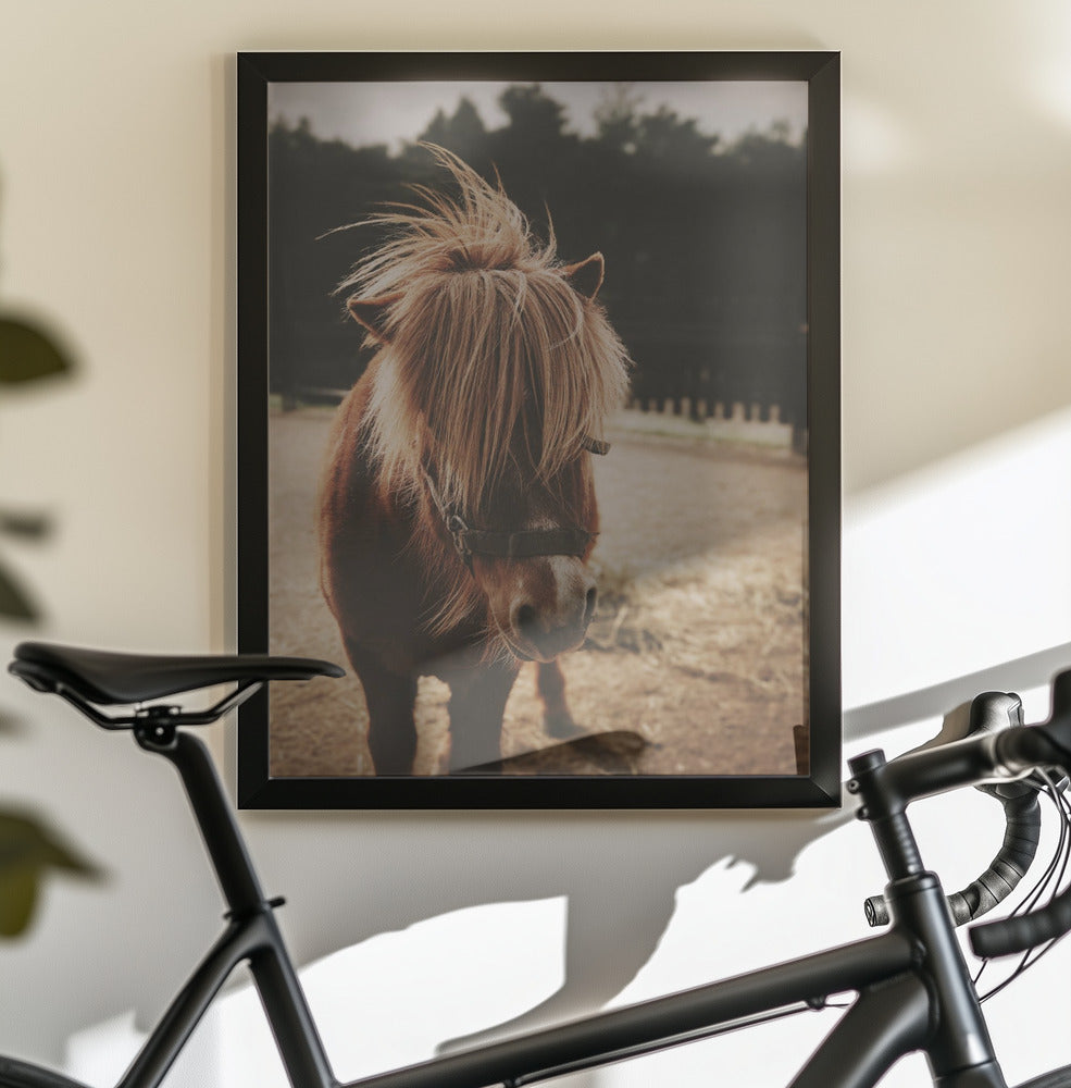 Small Horse - Poster / Art Print - interiör