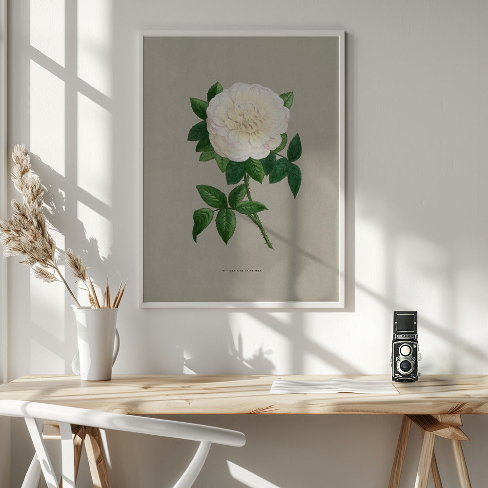 Rose Marie De Saint Jean - Poster / Art Print - interiör