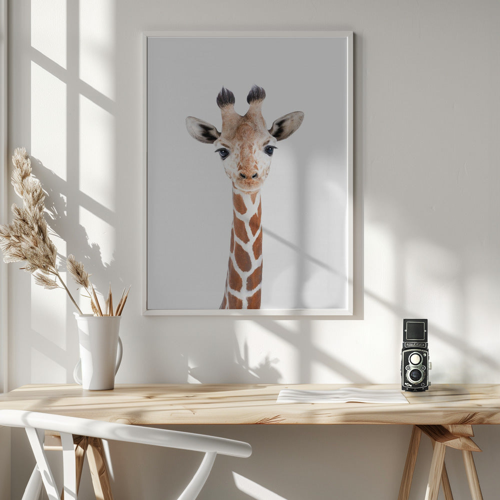 Baby Giraffe - Poster / Art Print - interiör