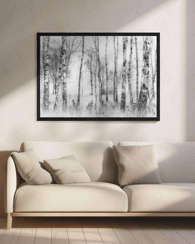 Black and white - Poster / Art Print - interiör