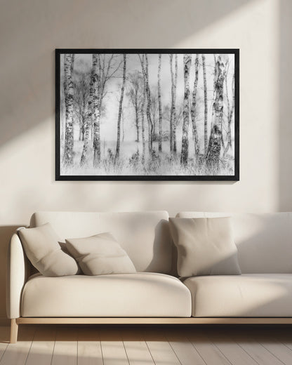 Black and white - Poster / Art Print - interiör