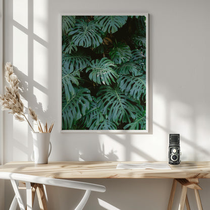 Monstera wall in Lisbon - Poster / Art Print - interiör