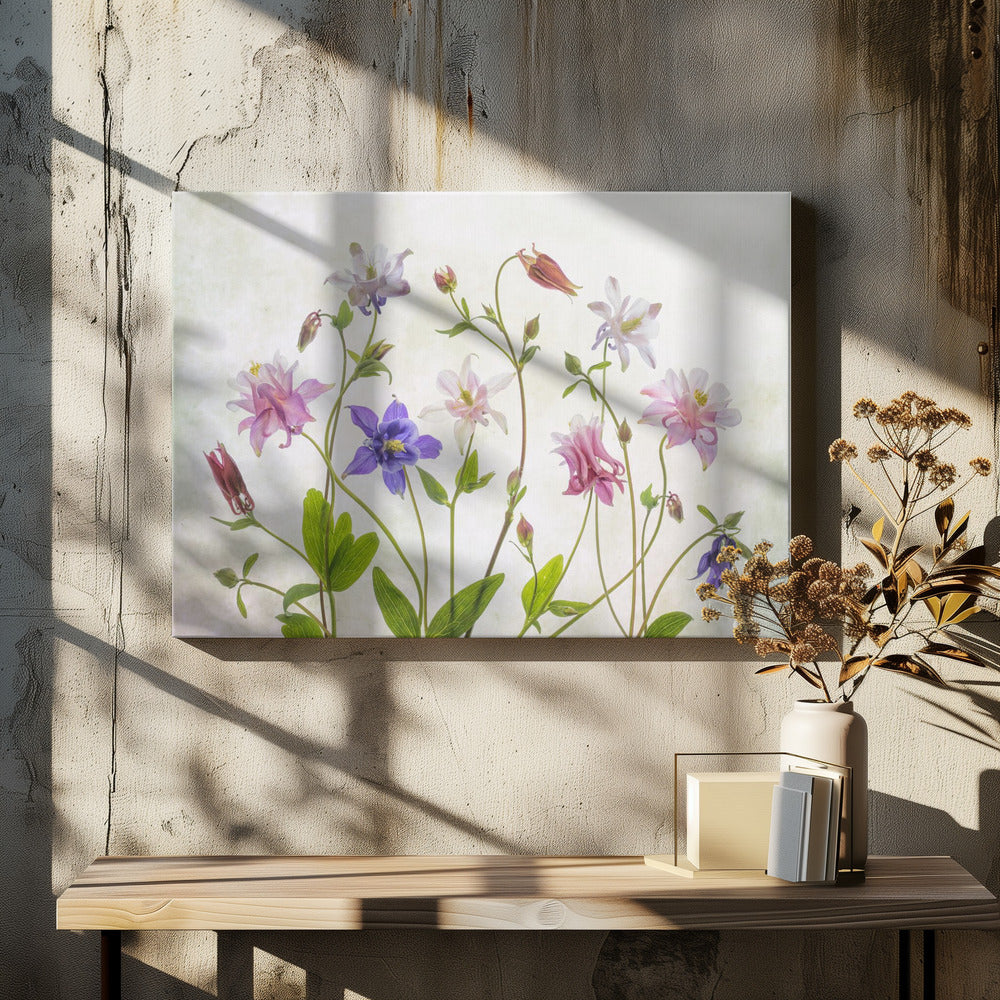 Columbine - Poster / Art Print - interiör