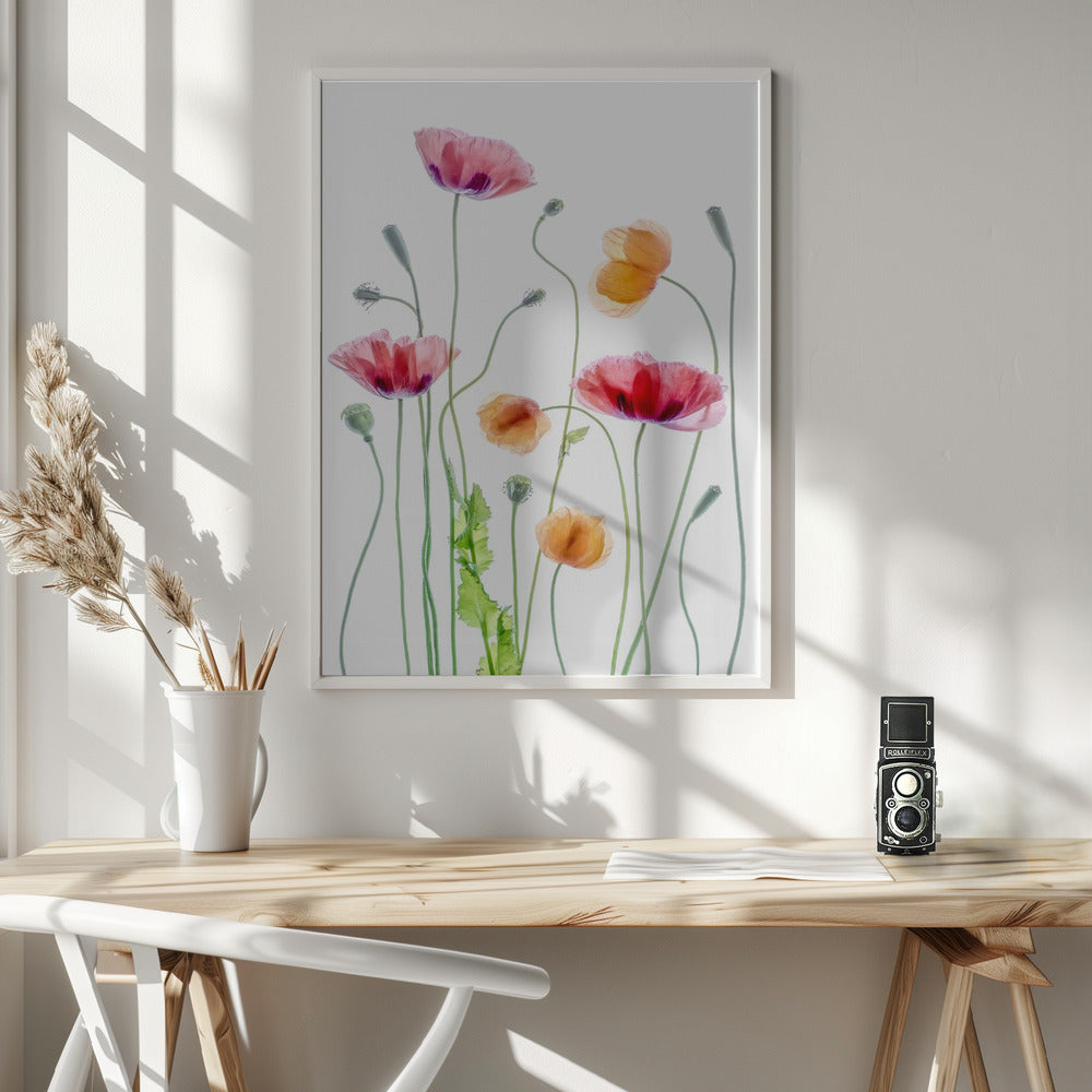 Poppies - Poster / Art Print - interiör