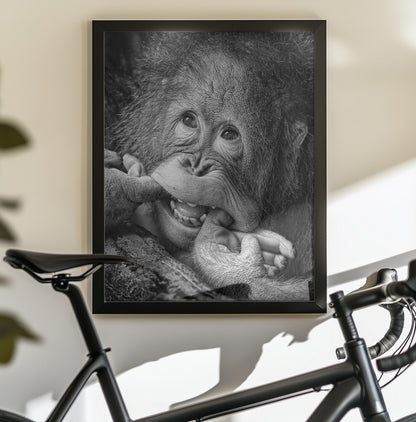 Big Smile.....please - Poster / Art Print - interiör