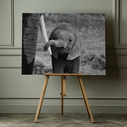 Close - Poster / Art Print - interiör