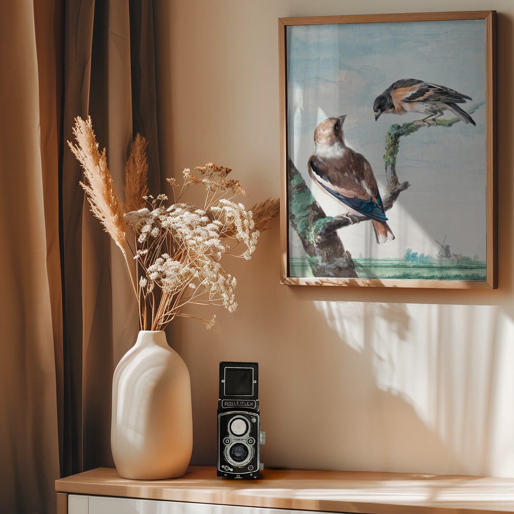 Two Birds  Hawfinch - Poster / Art Print - interiör