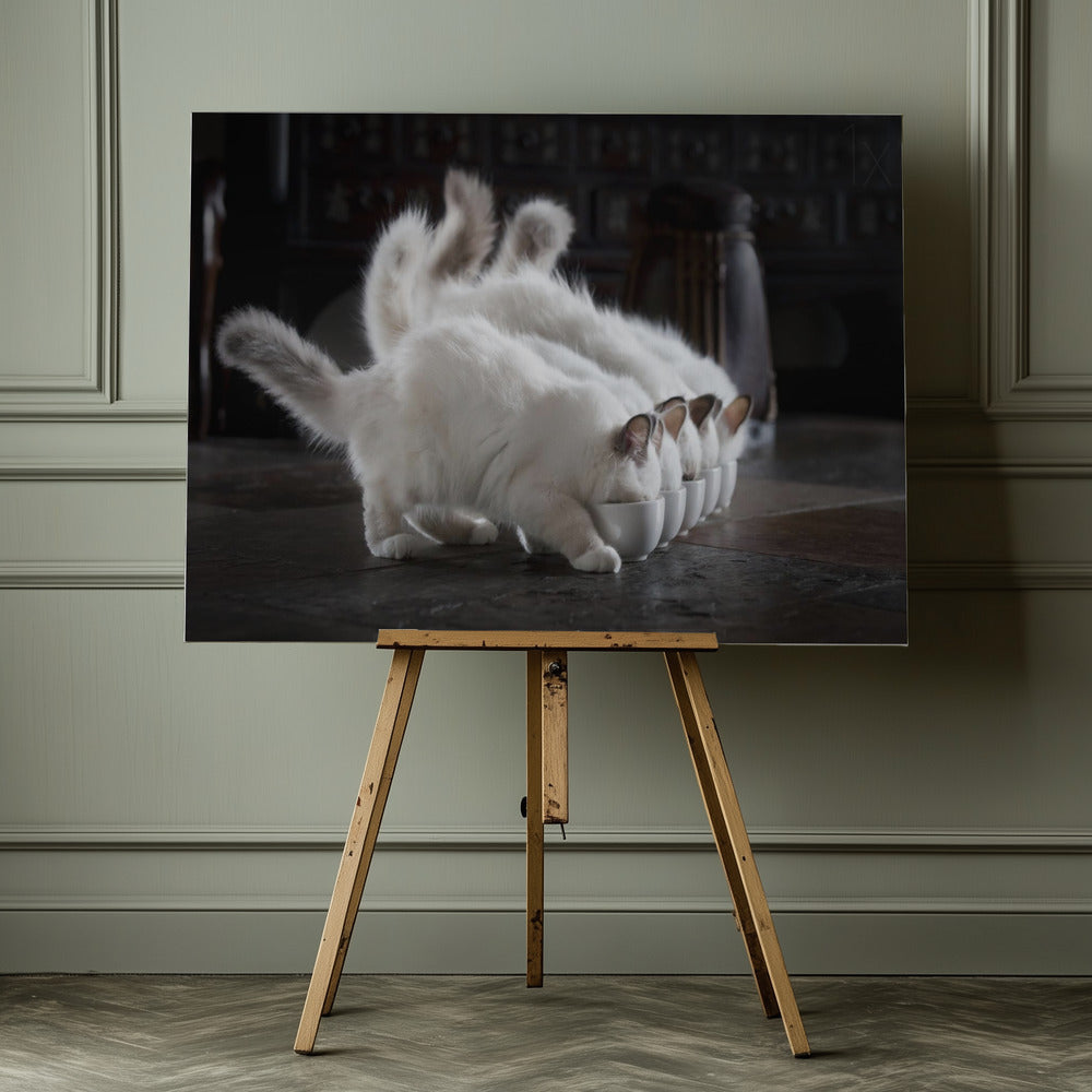 Let There Be Milk - Poster / Art Print - interiör