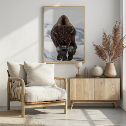 Bison Incoming - Poster / Art Print - interiör