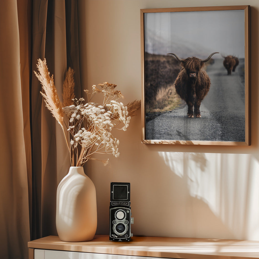 Cow - Poster / Art Print - interiör