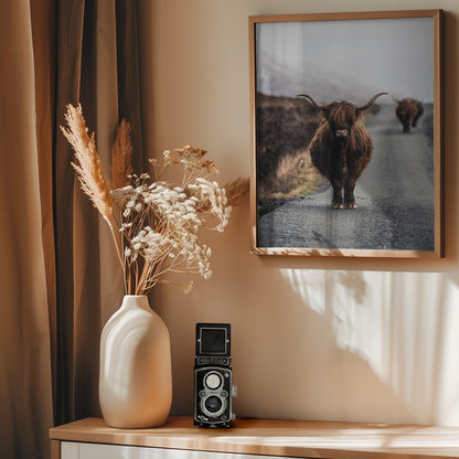 Cow - Poster / Art Print - interiör