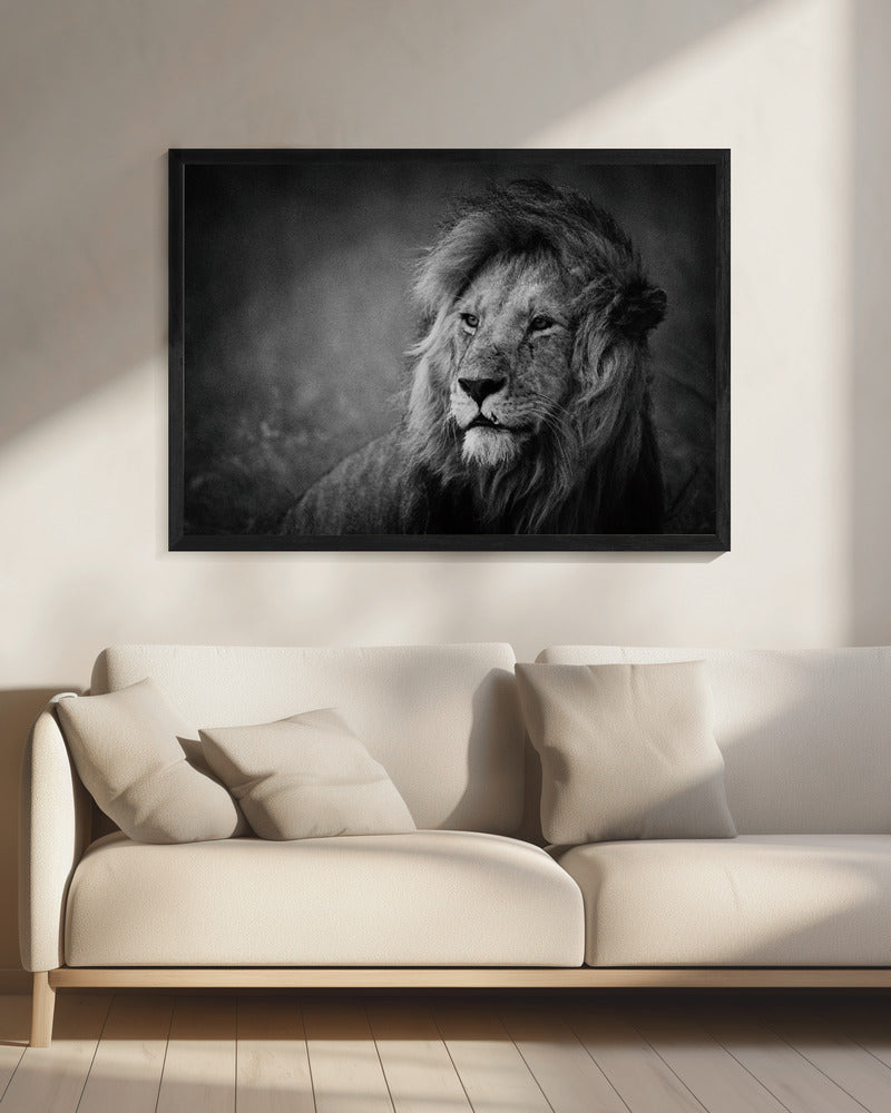 Regal - Poster / Art Print - interiör