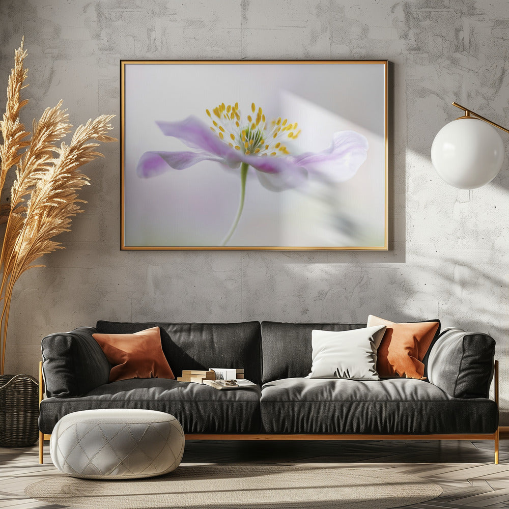 Wood Anemone - Poster / Art Print - interiör