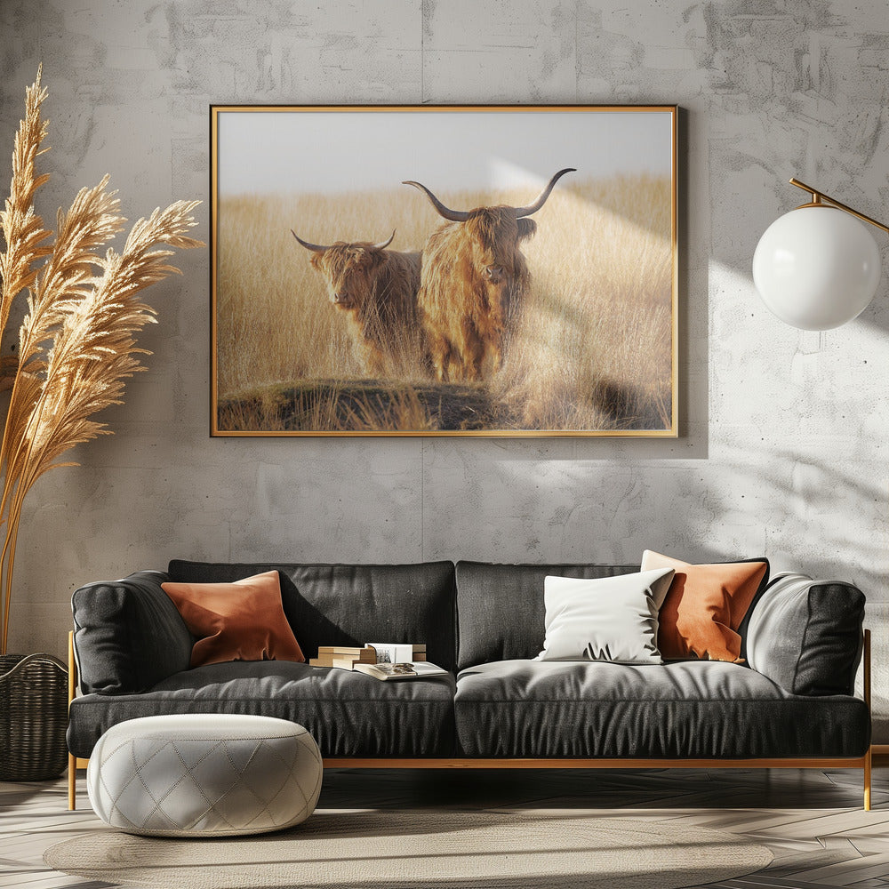 Young and old Highlander - Poster / Art Print - interiör