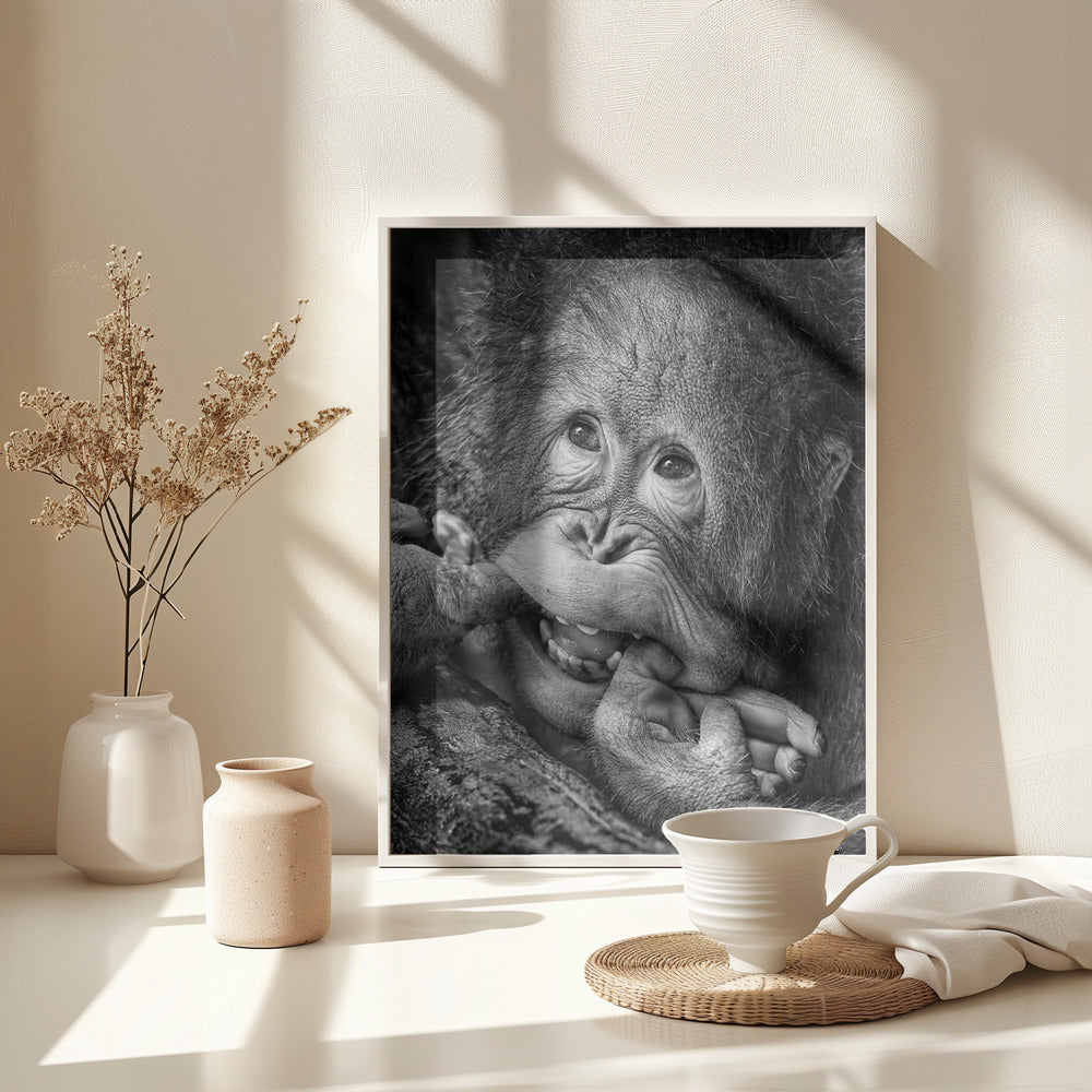 Big Smile.....please - Poster / Art Print - interiör