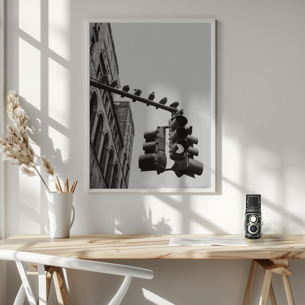 New York City Doves - Poster / Art Print - interiör