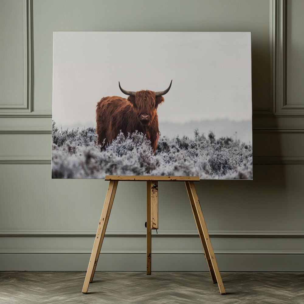 Highlander - Poster / Art Print - interiör