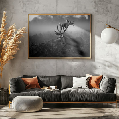 Sunny Morning - Poster / Art Print - interiör