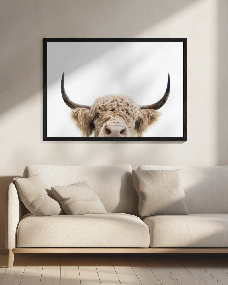 Peeking Cow - Poster / Art Print - interiör