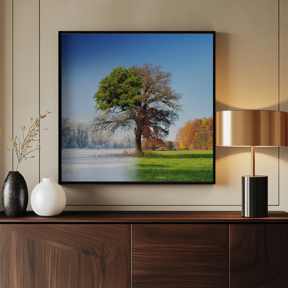 4 seasons - Poster / Art Print - interiör