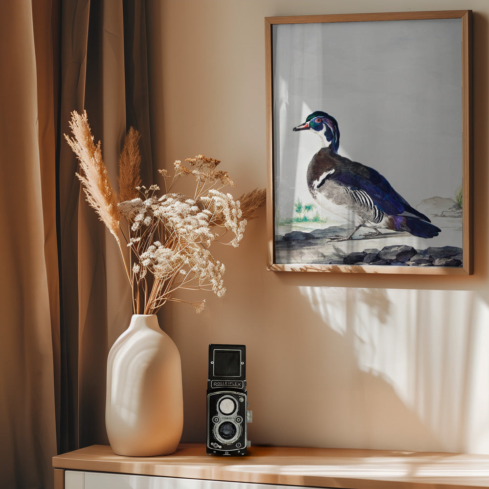 A Duck - Poster / Art Print - interiör