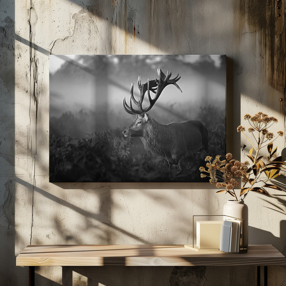 Sunny Morning - Poster / Art Print - interiör