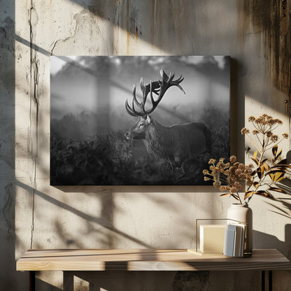 Sunny Morning - Poster / Art Print - interiör