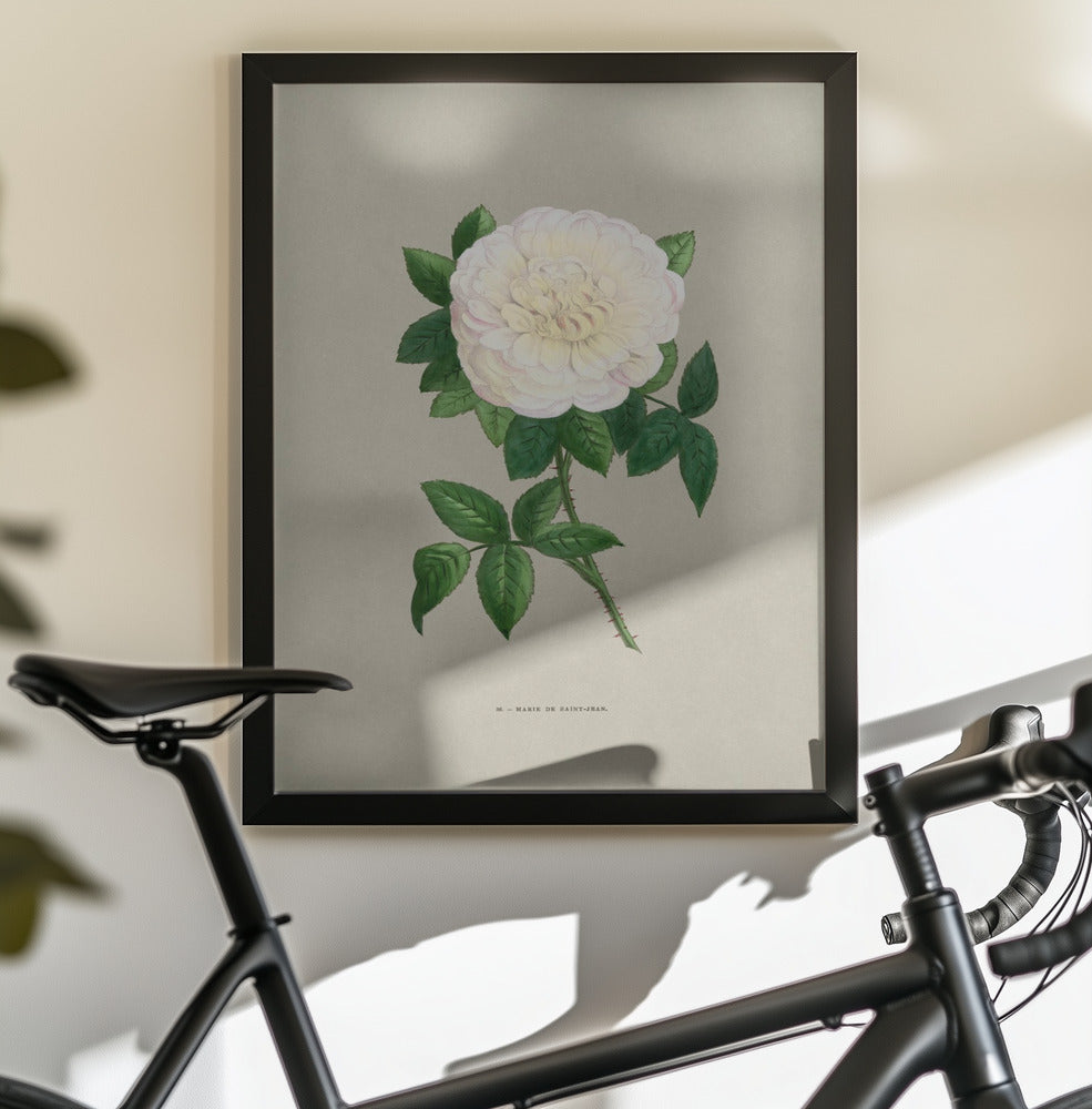 Rose Marie De Saint Jean - Poster / Art Print - interiör