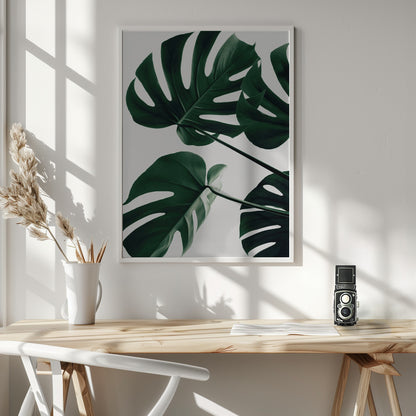 Monstera Natural 43 - Poster / Art Print - interiör