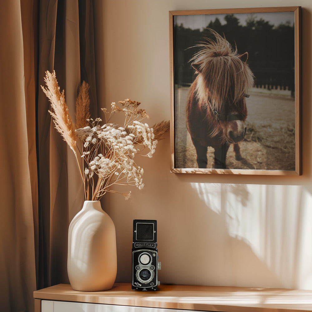 Small Horse - Poster / Art Print - interiör