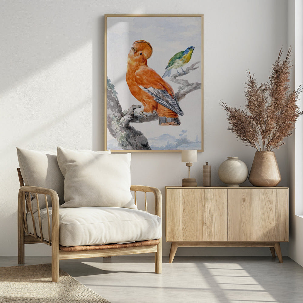 Two Exotic Birds - Poster / Art Print - interiör