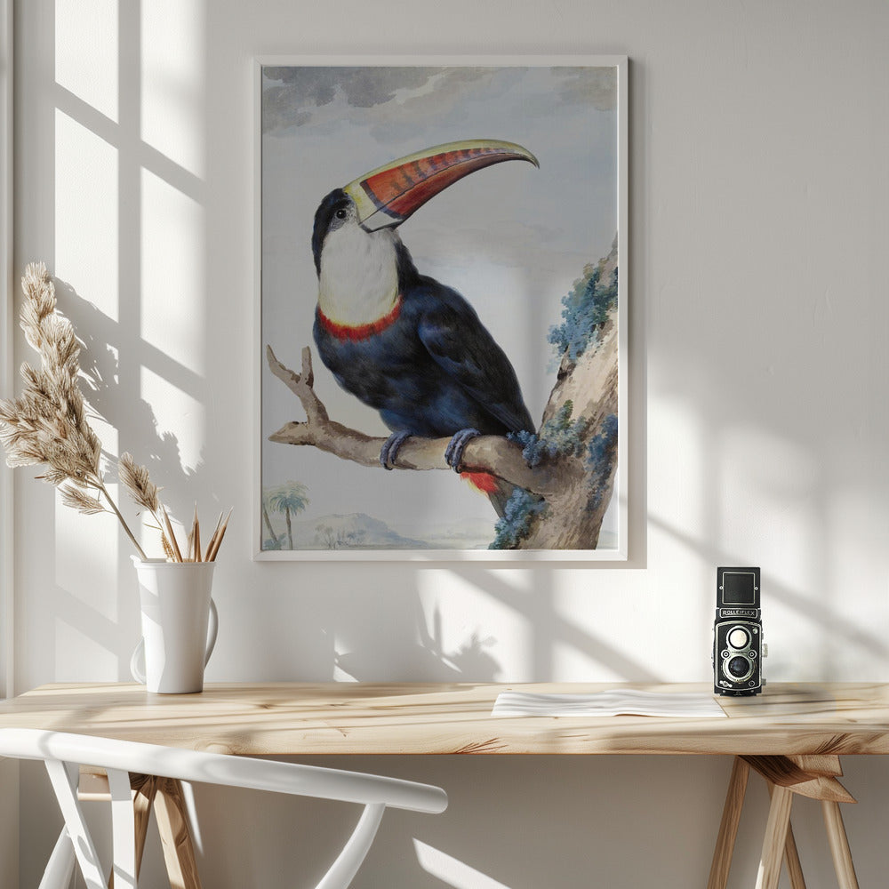 Red Billed Toucan - Poster / Art Print - interiör