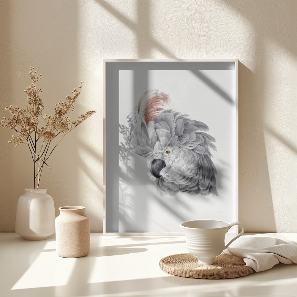 Cockatoo Head - Poster / Art Print - interiör