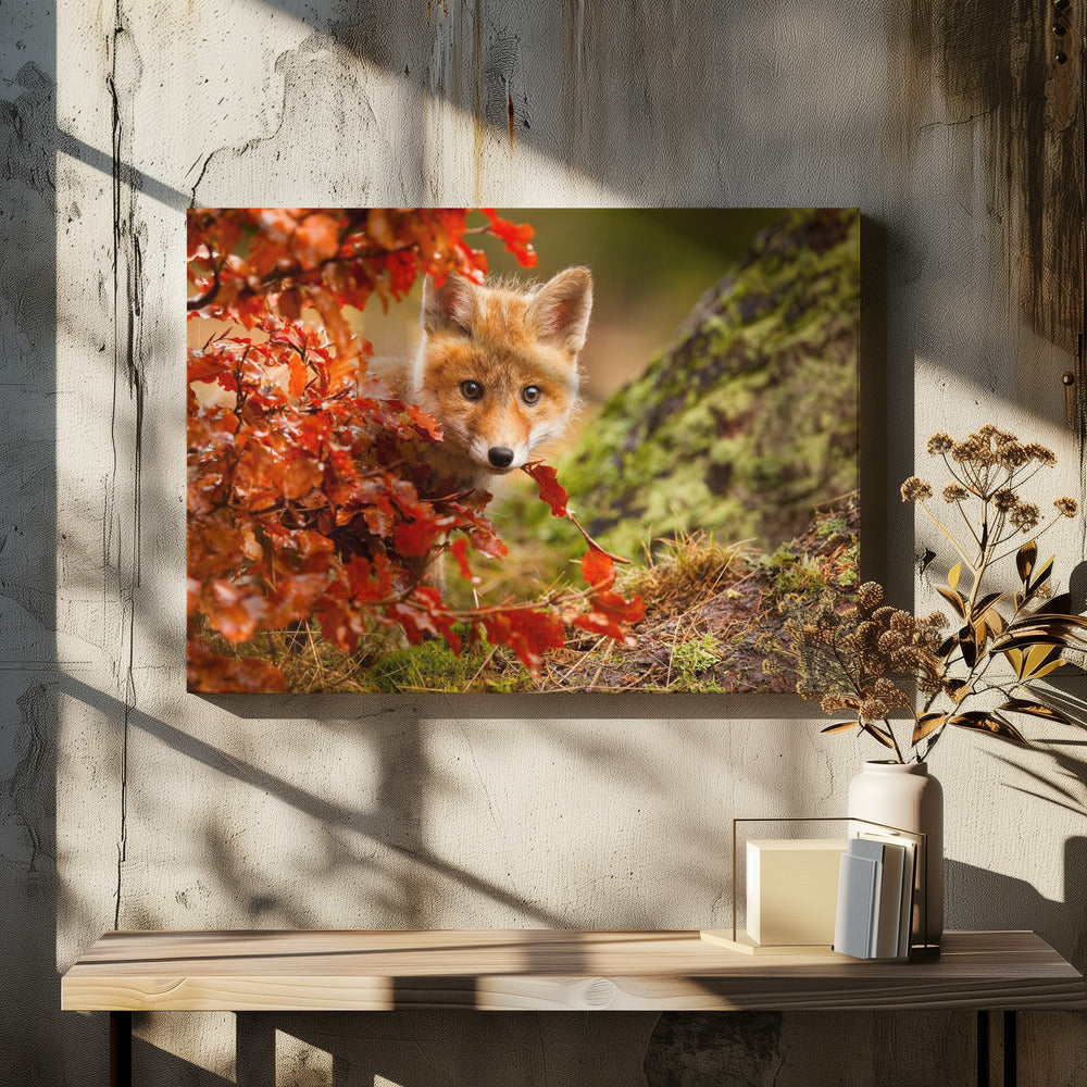 Fox - Poster / Art Print - interiör