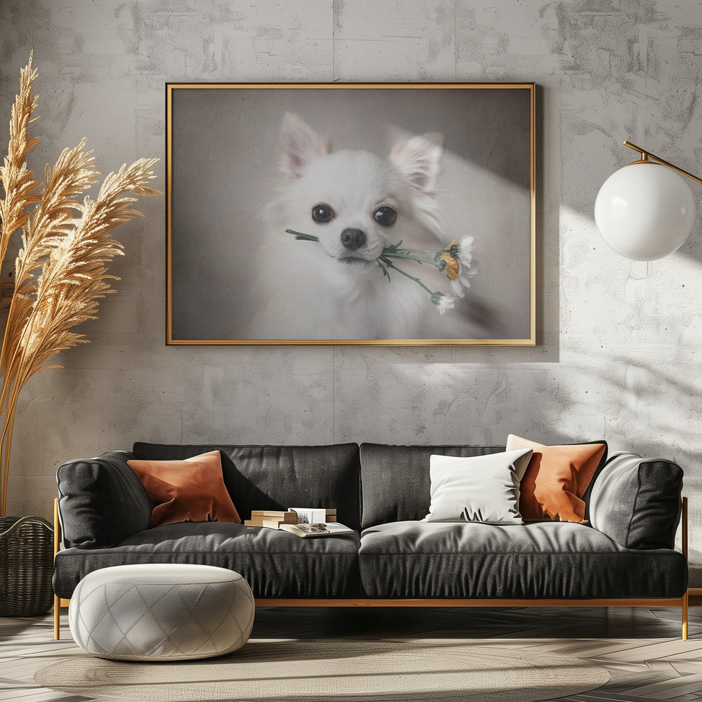 Chihuahua with flowers - Poster / Art Print - interiör