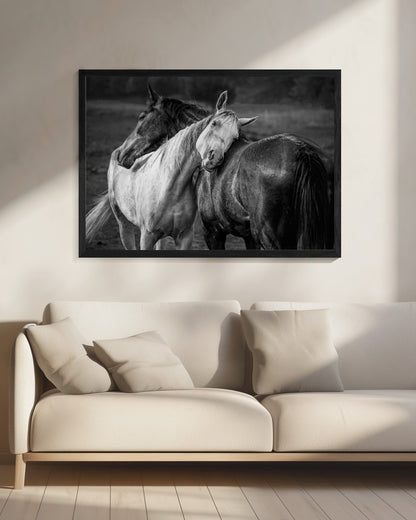 Warm rain - Poster / Art Print - interiör