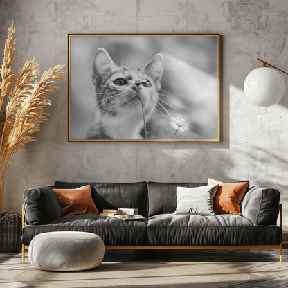 Curious - Poster / Art Print - interiör