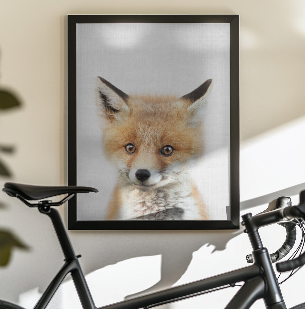 Peekaboo Baby Fox - Poster / Art Print - interiör