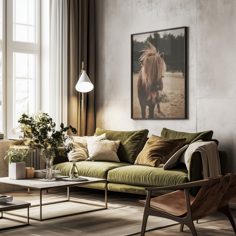 Small Horse - Poster / Art Print - interiör