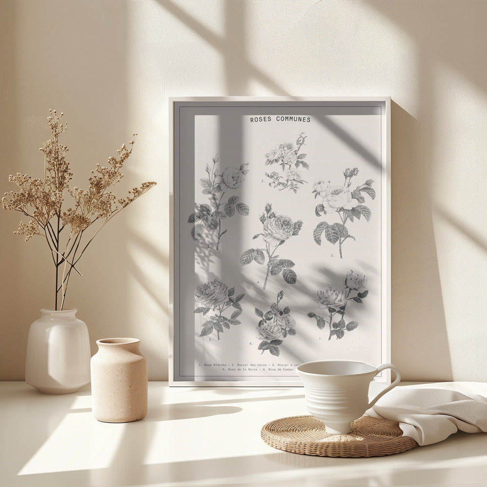 Roses - Poster / Art Print - interiör
