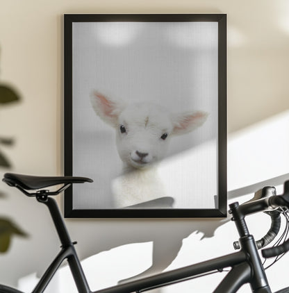 Peekaboo Baby Sheep - Poster / Art Print - interiör
