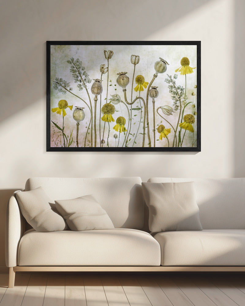 Poppies and Helenium - Poster / Art Print - interiör