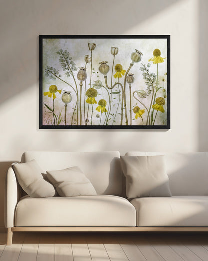 Poppies and Helenium - Poster / Art Print - interiör