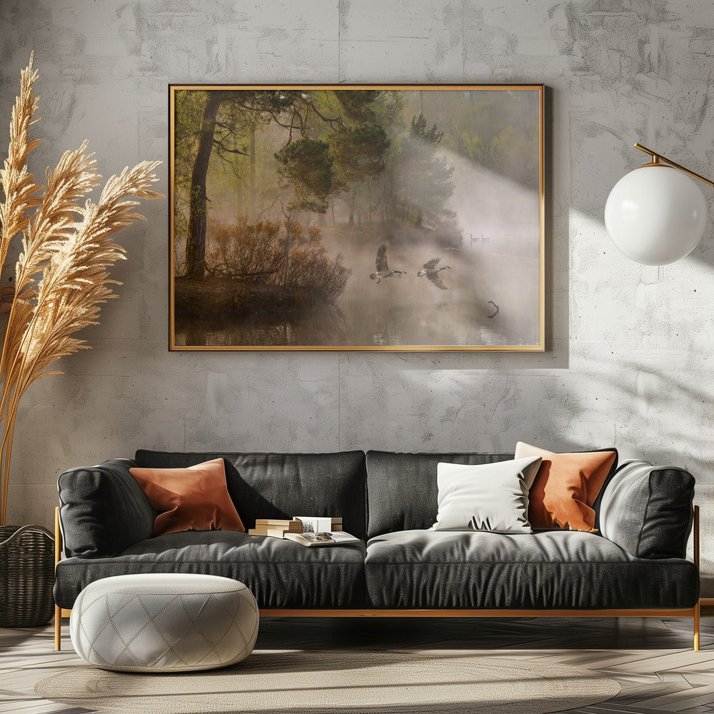 Goose fight - Poster / Art Print - interiör