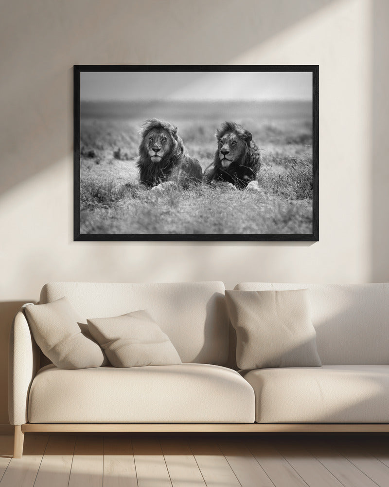 Two kings - Poster / Art Print - interiör