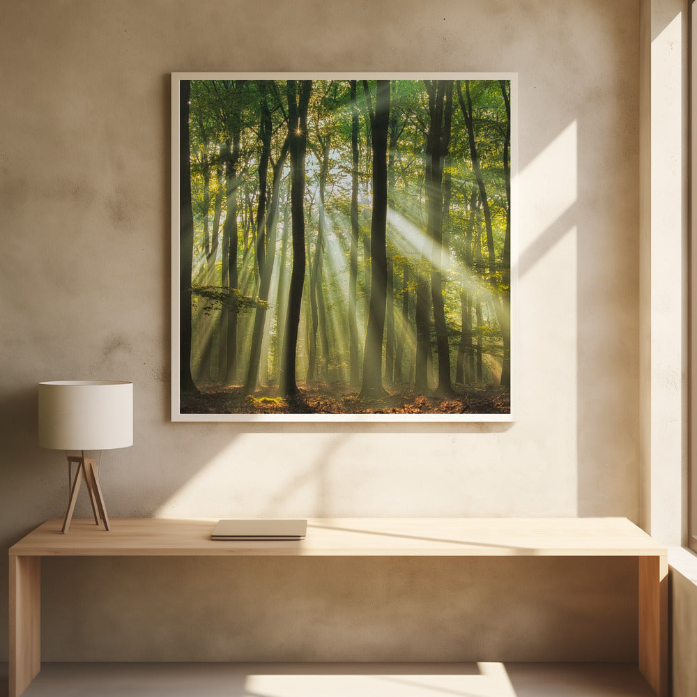 Sunny start to the day ........ - Poster / Art Print - interiör