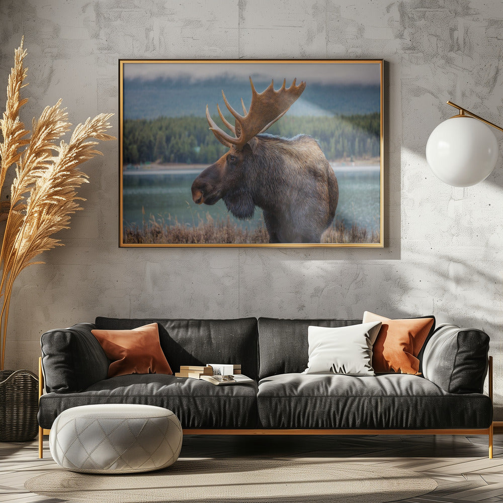 Moose - Poster / Art Print - interiör